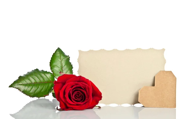 Rosa roja con tarjeta de regalo de San Valentín y en blanco para el texto en blanco ba —  Fotos de Stock