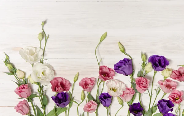Flores de eustoma coloridas em fundo de madeira branca e spa gratuito — Fotografia de Stock
