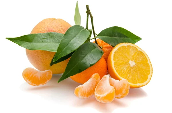 Oranges  and mandarin with slices on white  background — Stock Photo, Image