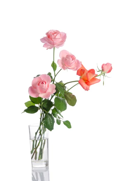 Mooi boeket rozen in een glazen vaas geïsoleerd op witte bac — Stockfoto