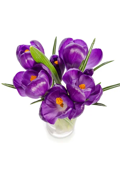 Bouquet from crocus flowers in vase isolated on white — Stock Photo, Image