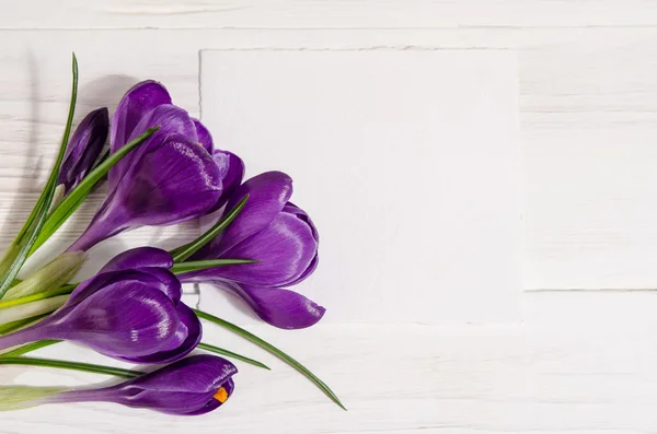 Buquê de flores de crocus com cartão vazio para o seu isolat texto — Fotografia de Stock