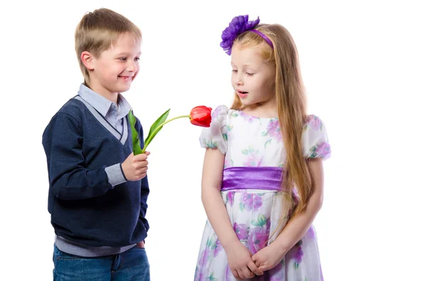 El chico le da a la chica un tulipán aislado sobre fondo blanco — Foto de Stock