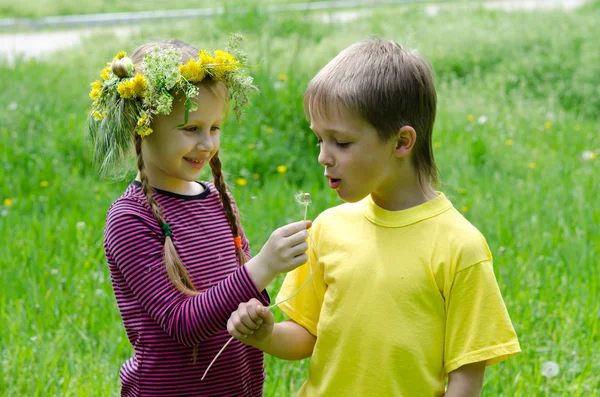 Boy and girl are Standing Blowing Dandelions In Field Stock Image