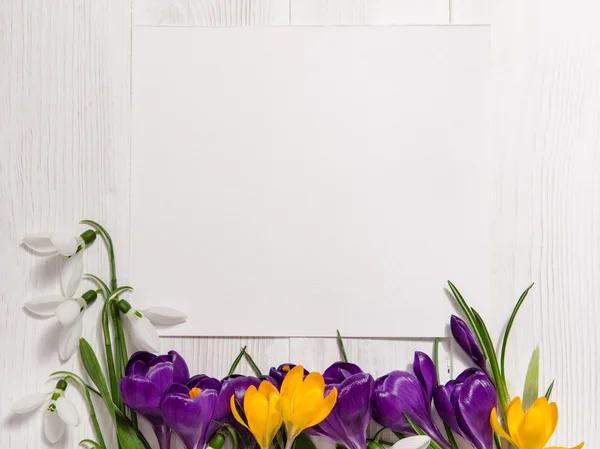 Coner from crocus and snowdrops on wooden background with empty — Stock Photo, Image