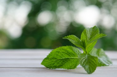 Beyaz ahşap masa üzerinde taze yeşil nane