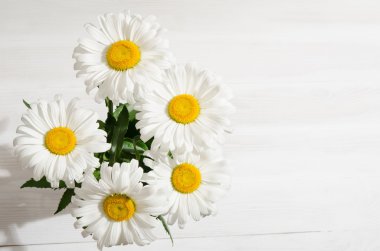 Beyaz tahta masada papatyalar buket