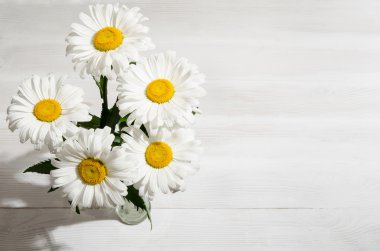 Beyaz arka planda bir buket papatya