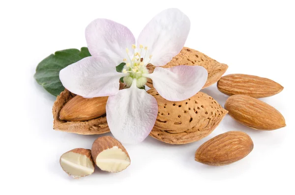 Mandorle con foglie e fiori da vicino sullo sfondo bianco — Foto Stock