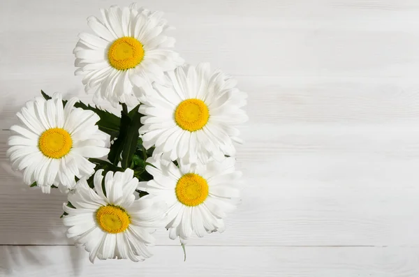 Bouquet of daisies on white background — Stock Photo, Image