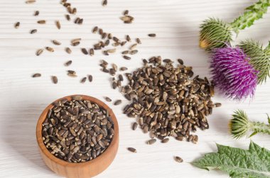 Süt thistle çiçek (Silybum marianum, viski T ile tohumları
