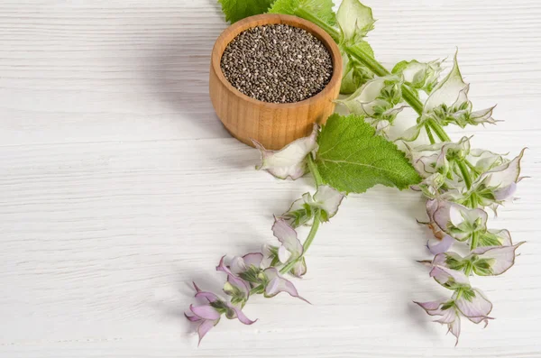Semilla de chía saludable súper alimento con flor sobre fondo de madera blanca —  Fotos de Stock