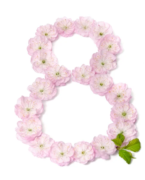 粉红色的花朵，在第八位在白色背景上的形状 — 图库照片