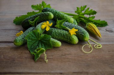 Ahşap zemin üzerine salatalık hasat