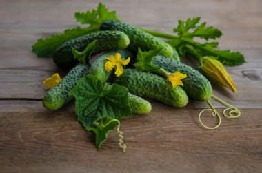 Ahşap zemin üzerine salatalık hasat