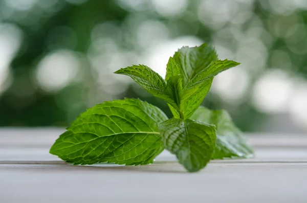 Mint hijau segar di meja kayu putih — Stok Foto