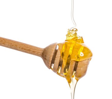 Beyaz arkasında izole bir ahşap bal ayı den damlayan bal