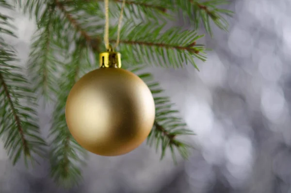 Golden Matte Christmas Ball Fluffy Spruce Branch New Year Decoration — Stock Photo, Image