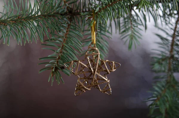 Χριστουγεννιάτικο Χρυσό Αστέρι Ένα Κλαδί Ελάτης Ασημί Φόντο Διακόσμηση Νέου — Φωτογραφία Αρχείου