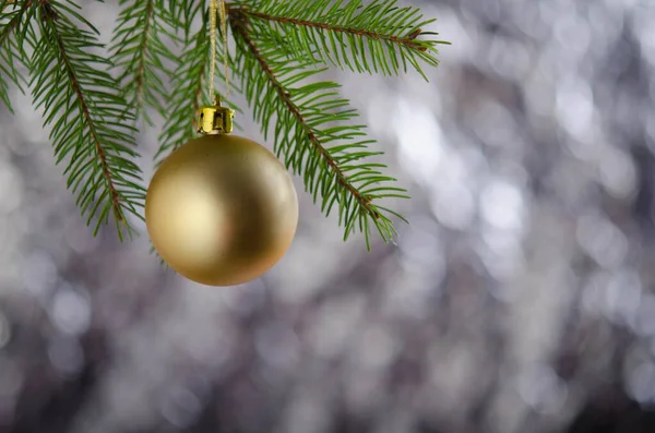Golden Christmas Ball Hangs Spruce Branch Silver Background New Year — Stock Photo, Image