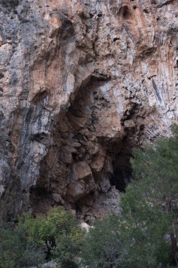 Dağlar ormanla kaplandı. Dağ sırası. Kozalaklı orman.