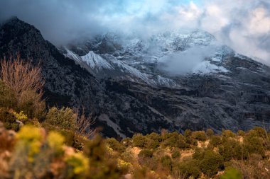 Bulutlar dağ zirvelerini kapladı. Dağ eteğindeki parlak orman
