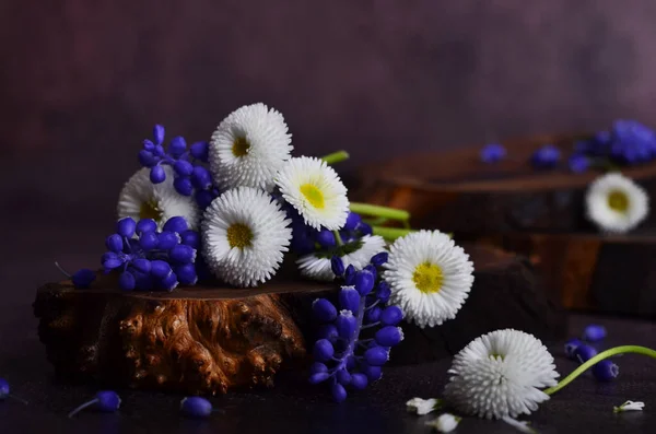 Delicate Madeliefjes Bloemen Een Ruiker Van Tuin Bloemen — Stockfoto