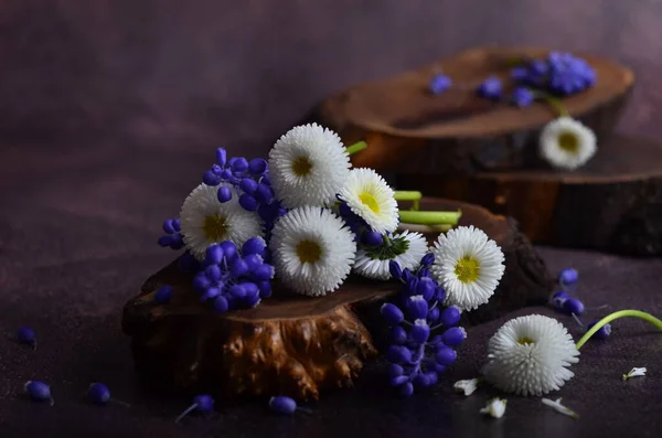 Zarte Margeritenblüten Ein Strauß Gartenblumen — Stockfoto