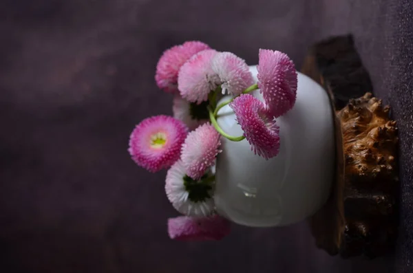 Delicate Daisy Flowers Bouquet Garden Flowers — Stock Photo, Image