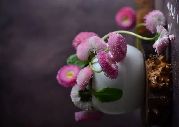 Narin Papatya Çiçekleri Bir Buket Bahçe Çiçeği — Stok fotoğraf