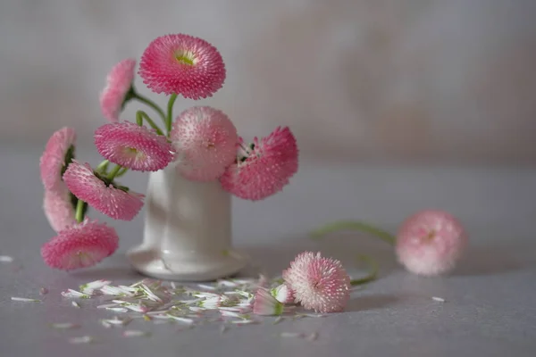 Delicate Madeliefjes Bloemen Een Ruiker Van Tuin Bloemen — Stockfoto