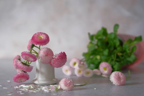 Delicate Madeliefjes Bloemen Een Ruiker Van Tuin Bloemen — Stockfoto