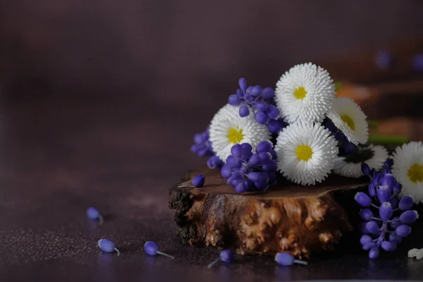 Zarte Margeritenblüten Ein Strauß Gartenblumen — Stockfoto