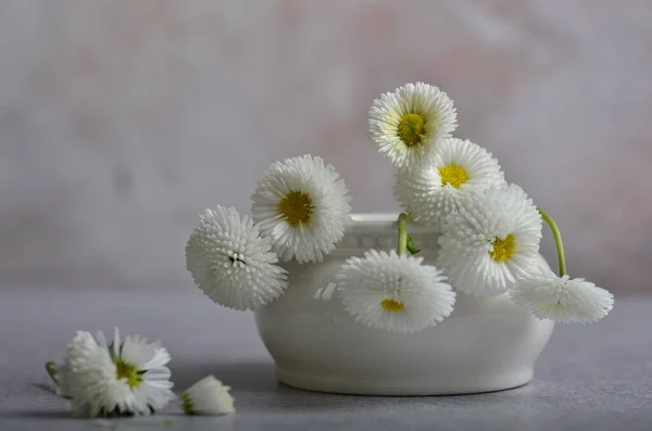 Zarte Margeritenblüten Ein Strauß Gartenblumen — Stockfoto