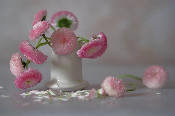 Delicate Madeliefjes Bloemen Een Ruiker Van Tuin Bloemen — Stockfoto