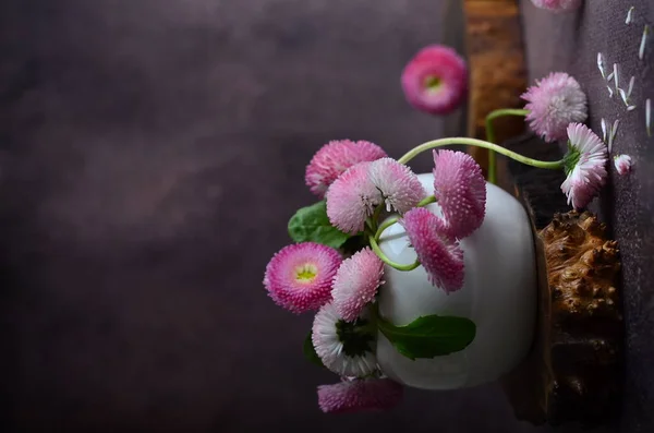 Zarte Margeritenblüten Ein Strauß Gartenblumen — Stockfoto