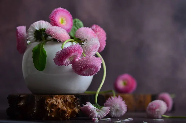 Narin Papatya Çiçekleri Bir Buket Bahçe Çiçeği — Stok fotoğraf