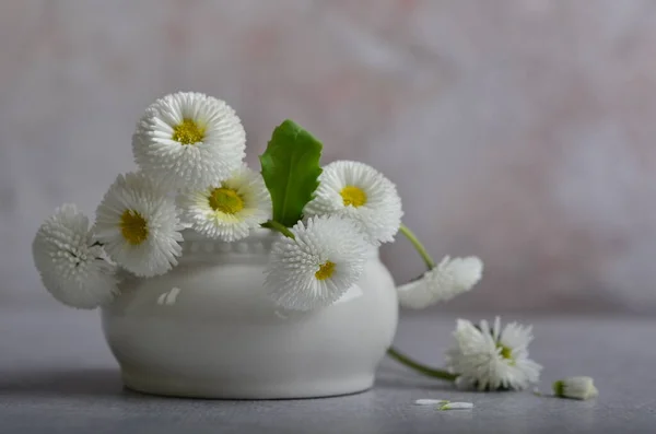 Delicate Madeliefjes Bloemen Een Ruiker Van Tuin Bloemen — Stockfoto