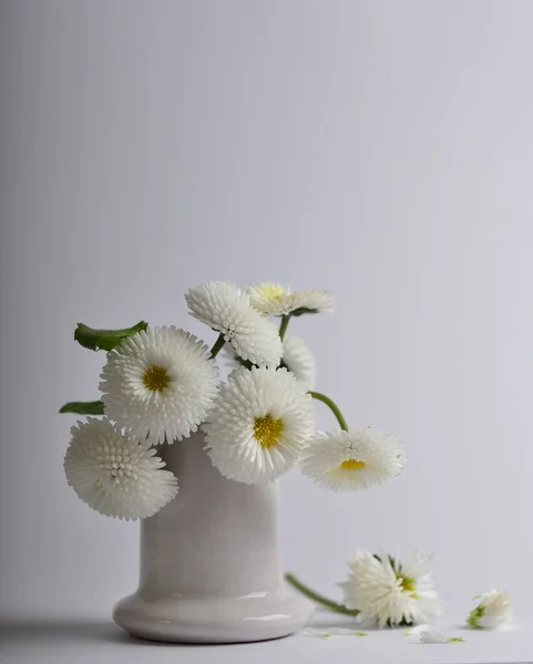 Fleurs Marguerite Délicates Bouquet Fleurs Jardin — Photo