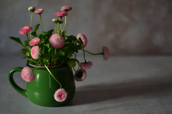 Delicate Daisy Flowers Bouquet Garden Flowers — Stock Photo, Image