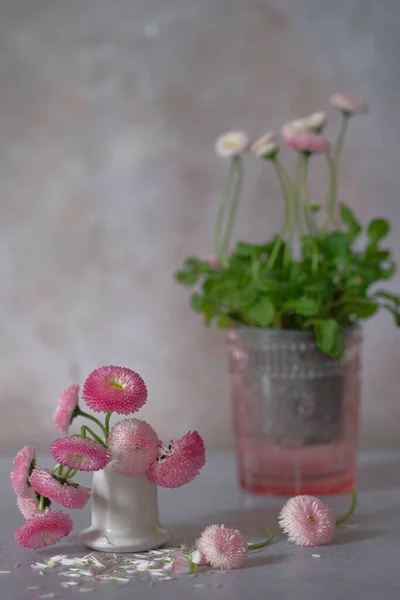 Narin Papatya Çiçekleri Bir Buket Bahçe Çiçeği — Stok fotoğraf