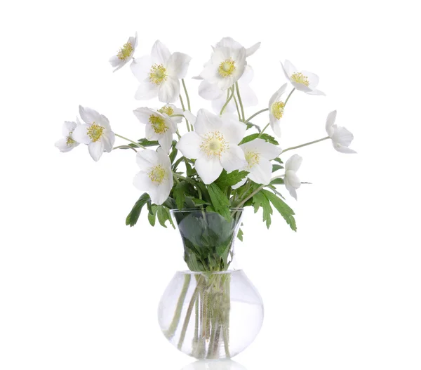 Beautiful bouquet of white flowers in transparent vase isolated — Stock Photo, Image