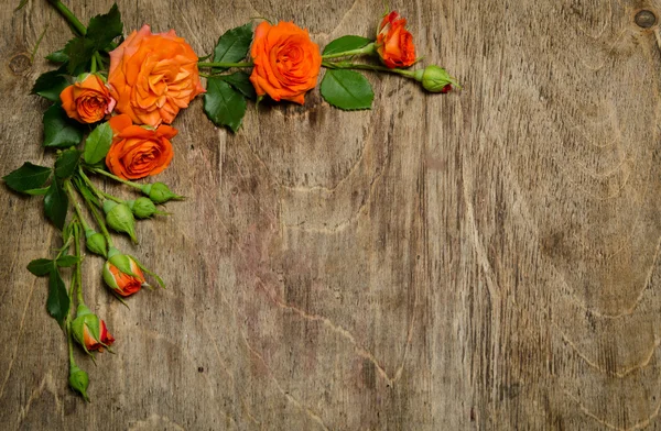 Esquina de rosas con hojas sobre fondo de madera . — Foto de Stock