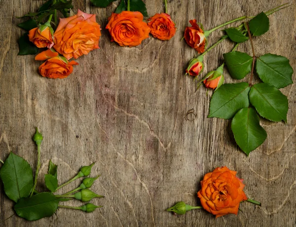 Rosas con marco de hojas sobre fondo de madera . —  Fotos de Stock