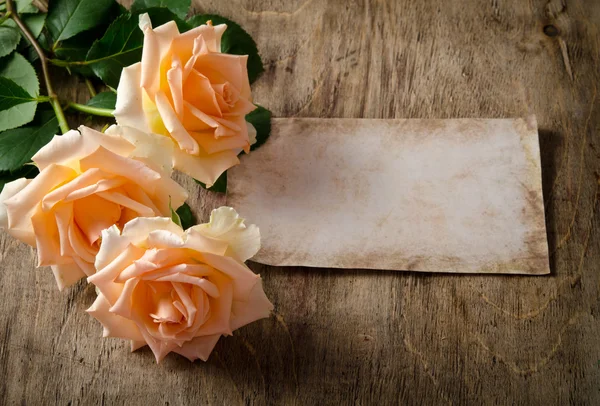 Zarte cremefarbene Rosen auf Holztisch — Stockfoto