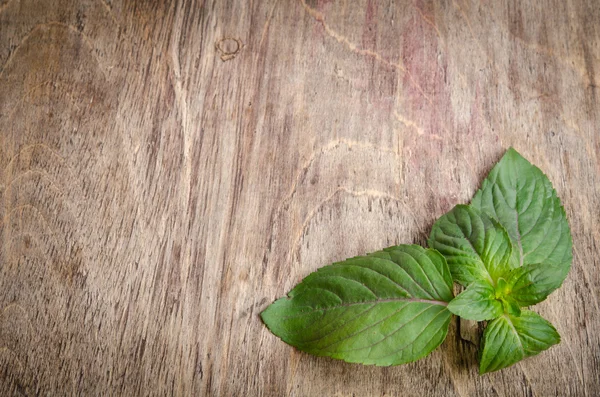 Setangkai mint di atas meja kayu — Stok Foto