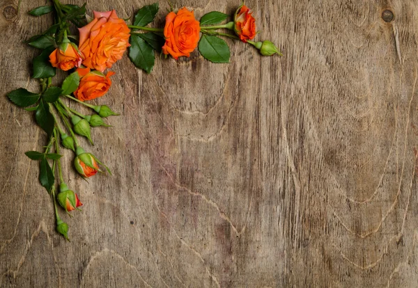 Canto de rosas com folhas no fundo de madeira . — Fotografia de Stock