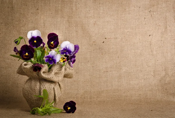 Mooie Viooltje bloemen op jute achtergrond — Stockfoto