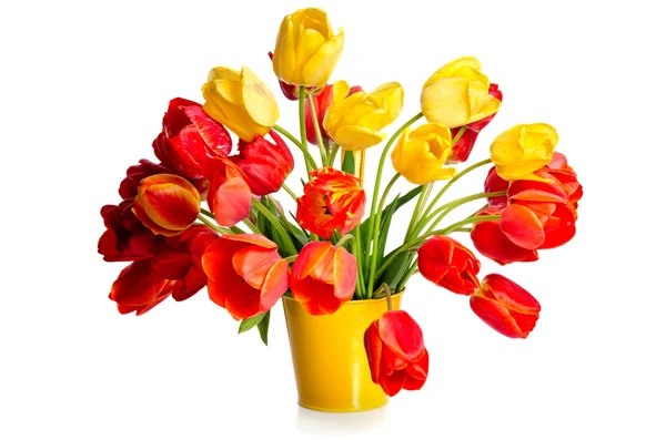 Mooi boeket van kleurrijke tulpen in gele pot geïsoleerd op w — Stockfoto