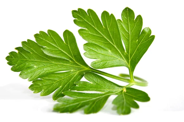 Fresh parsley isolated on white background — Stock Photo, Image